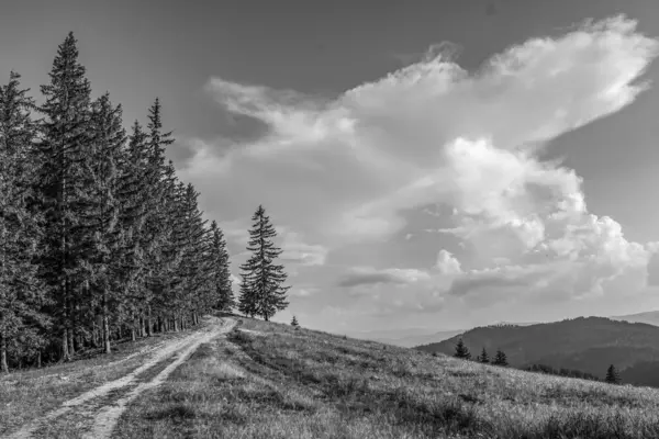 Karpat Dağlarının güzel manzarası