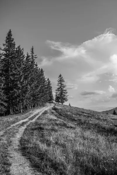 Güzel gökyüzü olan bir tepeye giden yol.