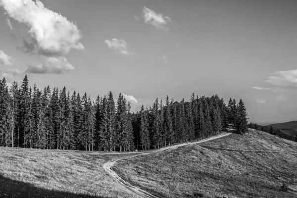 Doğanın güzel manzarası