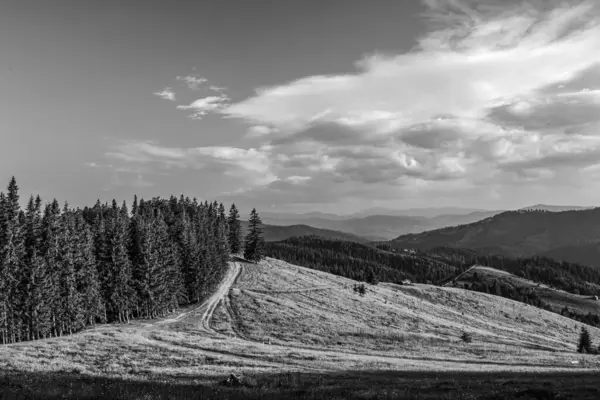 Yaz mevsiminde Carpathian manzarası. Köydeki dağ sırası.