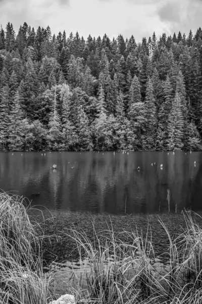 Gölün siyah beyaz fotoğrafı