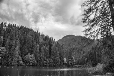 Tatra dağlarındaki dağ gölünün siyah beyaz görüntüsü.