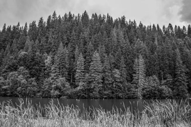 black and white photo of a mountain lake