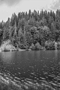 Göl ve dağın siyah beyaz fotoğrafı