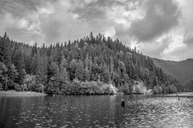 Arka planda bulutlu bir gökyüzünün altında ağaçlarla çevrili bir gölün gri tonlu görüntüsü.