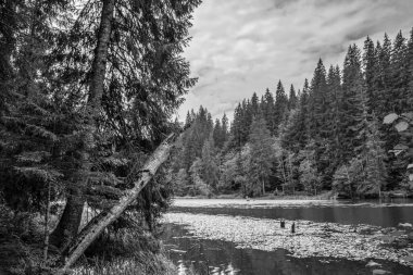 bir dağ nehrinin siyah beyaz görüntüsü