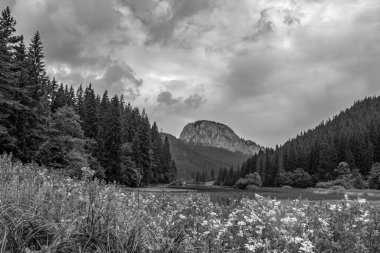 Gündüz vakti kayalık bir dağ manzarasının güzel bir görüntüsü.