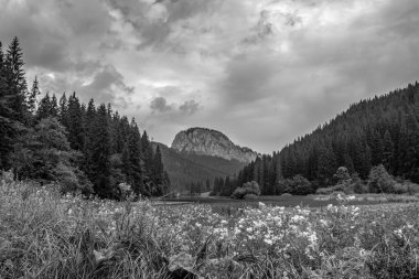 Dağlardaki güzel dağ manzarası