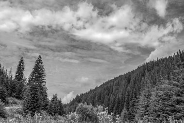 Güzel bir dağ manzarasının siyah beyaz fotoğrafı.