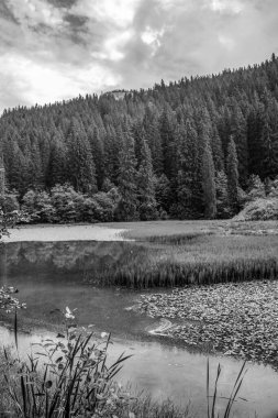Ormanın ortasında bir gölün siyah beyaz görüntüsü.