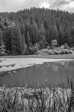 bir gölün siyah beyaz resmi