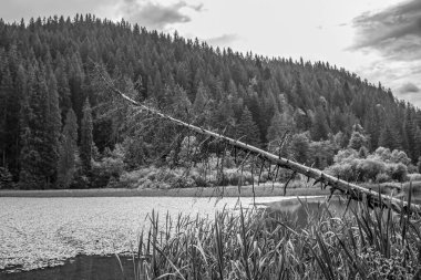 bir dağ nehrinin siyah beyaz fotoğrafı