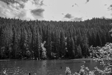 Dağlardaki ağaçlarla çevrili gölün güzel gri tonlu görüntüsü. Arka plandaki bulutlu gökyüzünün altında.