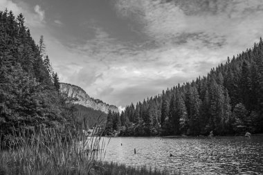 Dağlardaki güzel göl