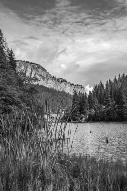 siyah ve beyaz Lake