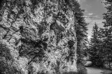 Dağ manzarası harika.