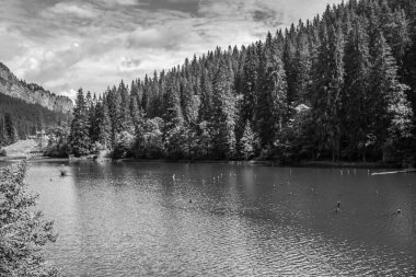 Dağdan siyah beyaz manzara