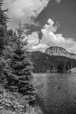 Arkasında orman olan dağ gölünün siyah ve beyaz görüntüsü..