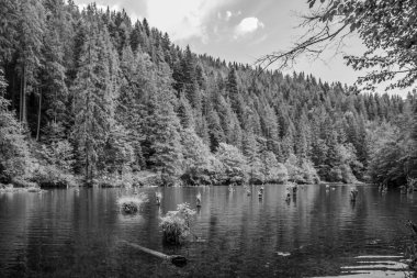 Güzel göl manzarası