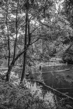 Parkın güzel manzarası