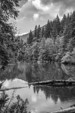 Siyah beyaz güzel göl