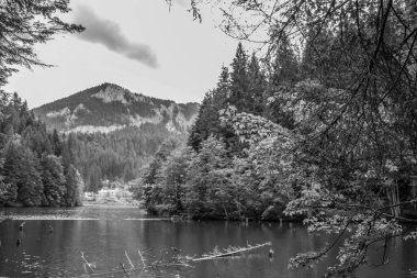 Slovakya 'daki Tatra Ulusal Parkı' nın dağlarındaki güzel dağ gölü.