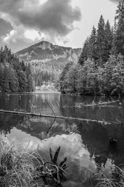 Göldeki tahta bir iskelenin dikey görüntüsü.