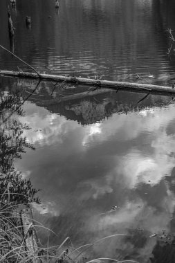 Üzerinde yansıması olan bir ahşap iskelenin gri tonlu görüntüsü.