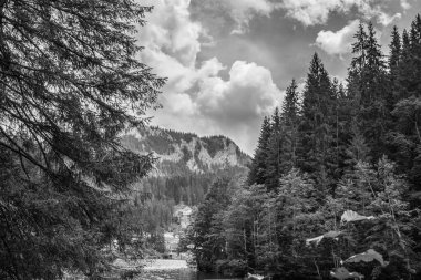 Gölün siyah beyaz fotoğrafı