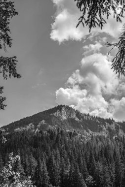 siyah ve beyaz dağ manzarası