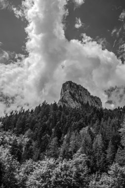 Bulutlu bir günde ağaçla dağların güzel bir görüntüsü.