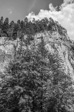 Siyah beyaz güzel dağ manzarası.