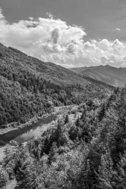 Karpatlar 'daki bir dağ deresinin siyah beyaz fotoğrafı.