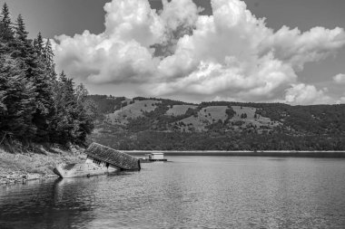 Ormandaki dağlarla çevrili bir gölün gri tonlu görüntüsü.