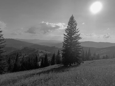 Dağların güzel manzarası