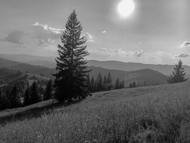 siyah ve beyaz manzara. Karpat Dağları.