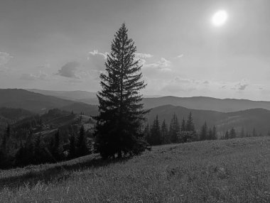 Siyah beyaz Karpat Dağları