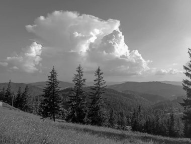 Dağlarda dağları olan güzel bir manzara.