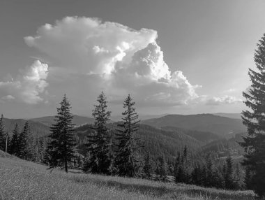 Arkasında bir dağ olan güzel bir manzara.