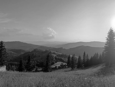 Ormanları ve çayırları olan dağların güzel manzarası. Karpatlar 'daki siyah beyaz fotoğraf..