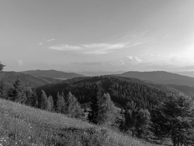 Yazın Alman Baltrum Adası