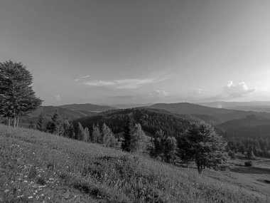 Dağları ve ormanı olan güzel bir manzara.