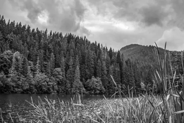 black and white photo of a mountain lake