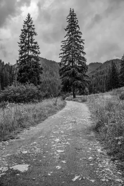 Dağlardaki güzel manzaranın siyah beyaz fotoğrafı.