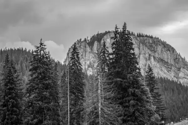 Siyah beyaz güzel dağ manzarası