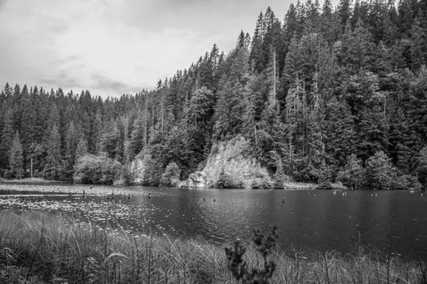 Hırvatistan 'daki Plitvice Ulusal Parkı' nda Kara Göl