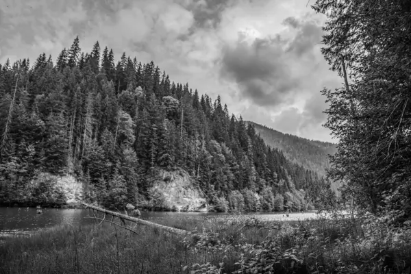 Yazın siyah beyaz dağ gölü