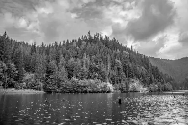 Arka planda bulutlu bir gökyüzünün altında ağaçlarla çevrili bir gölün gri tonlu görüntüsü.