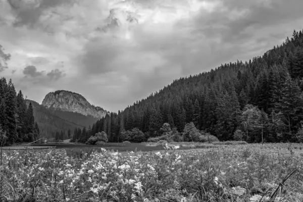 Göl ve dağlarla dolu güzel bir manzara.