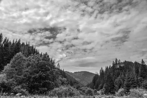 Yazın dağların siyah ve beyaz görüntüsü